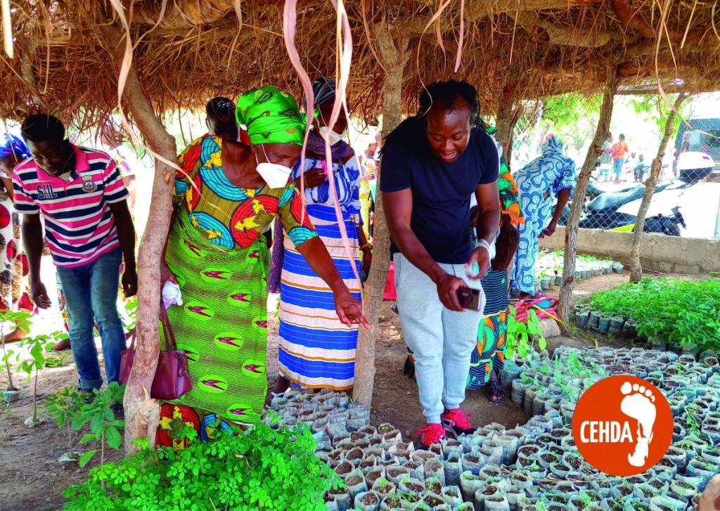 Ancestral seed nursery at CEHDA farm
