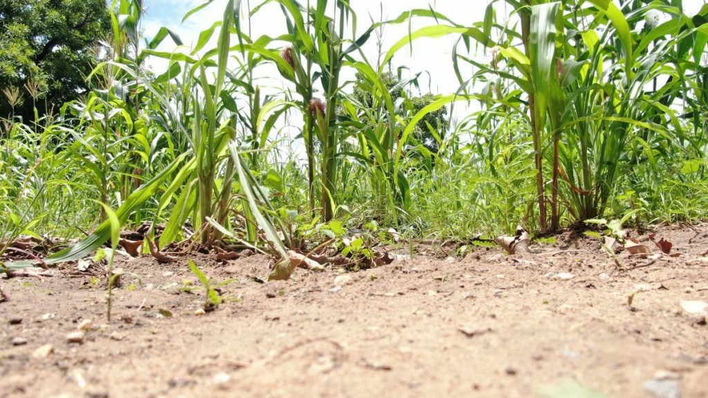 Aerial view of CEHDA community in Sawla, Ghana